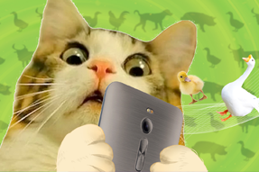 FRIDAY专栏 | 被憋疯的职场人，养起了猪牛羊鱼鸟...