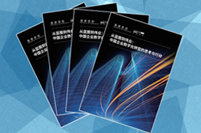 《从蓝图到伟业：中国企业数字化转型的思考与行动》